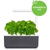 Išmanus namų sodas Click & Grow Smart Indoor Garden 3, pilkas