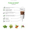 Click and Grow Smart Home 3 vnt. papildymas - bazilikų sėklos