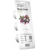 Click & Grow Smart Garden papildymas Busy Lizzie 3 vnt