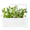 Click &amp; Grow sėklos išmaniajam vazonui - katžolė, 3 vnt.
