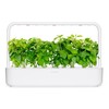 Click and Grow 3 vnt. papildymas - bazilikų sėklos (Cinnamon Basil)