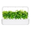 Click and Grow 3 vnt. papildymas - bazilikų sėklos (Cinnamon Basil)