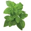 Click and Grow 3 vnt. papildymas - nykštukinio baziliko sėklos (Dwarf basil)