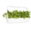 Click And Grow Click &amp; Grow sėklos išmaniajam vazonui - Lapiniai burokėliai, 3vnt.