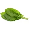 Click & Grow Smart Garden pildymas Žalias Sorrel 3vnt