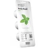 Click &amp; Grow sėklos išmaniajam vazonui - Bazilikas (Holy Basil) 3vnt.