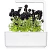 Click And Grow Click &amp; Grow sėklos išmaniajam vazonui - Juodosios našlaitės, 3vnt.