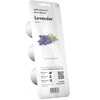 Click And Grow Click &amp; Grow Smart Garden papildymas levandomis 3vnt