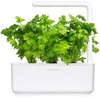 Click And Grow Click &amp; Grow sėklos išmaniajam vazonui - Lapiniai salierai (SGR97X3) 3vnt.
