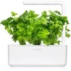 Click And Grow Click & Grow sėklos išmaniajam vazonui - Lapiniai salierai (SGR97X3) 3vnt.