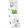 Click and Grow 3 vnt. papildymas - vaistinės melisos sėklos (lemon balm)