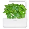 Click And Grow Click &amp; Grow sėklos išmaniajam vazonui - Kvapusis bazilikas (SGR99X3) 3vnt.