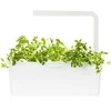 Click and Grow - "Smart Garden" 3 vnt. papildymas - raudonėlio sėklos