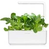 Click and Grow 3 vnt. papildymas - kininių kopūstų sėklos