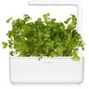 Click and Grow Smart Garden 3 vnt. papildymas - petražolių sėklos