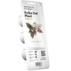 Click &amp; Grow Smart Garden 3 vnt. papildymas - margojo turklenio sėklos