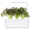 Click And Grow Click & Grow sėklos išmaniajam vazonui - Japoninės garstyčios (Raudona Frill Mustard), 3 vnt.