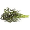 Click And Grow Click & Grow sėklos išmaniajam vazonui - Japoninės garstyčios (Raudona Frill Mustard), 3 vnt.