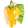 Click and Grow SMART HOME 3 vnt. papildymas - paprikos sėklos, geltonos