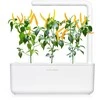 Click & Grow Smart Garden pildymas Geltona Chili 3vnt