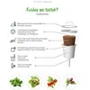 Click And Grow Click &amp; Grow sėklos išmaniajam vazonui - Kale kopūstai (Italian Kale) 3vnt.