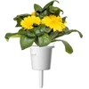 Click & Grow Smart Garden Refill Marigold 3pcs