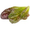 Click And Grow Click &amp; Grow sėklos išmaniajam vazonui - Raudonosios romaninės salotos, 3vnt.