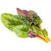 Click And Grow Click &amp; Grow sėklos išmaniajam vazonui - Mangoldai (Rainbow Chard), 3vnt.