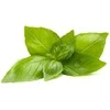 Click And Grow Click &amp; Grow sėklos išmaniajam vazonui - Bazilikai citrininiai, 3vnt.