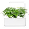 „Click & Grow Smart Garden“ papildymas, plunksnų žirgas, 3 vnt.