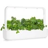 Click And Grow Click & Grow sėklos išmaniajam vazonui - Žalieji lapiniai kopūstai Kale, 3 vnt.