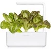 Click And Grow Click &amp; Grow sėklos išmaniajam vazonui - Raudonosios romaninės salotos, 3vnt.