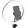 D-Fruit ringlight 12" + stand