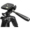D-Fruit tripod 204