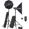 Elinchrom studijos blykstės rinkinys D-Lite RX 4/4 To Go (20839)
