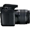 Canon EOS 2000D + 18-55mm IS + 50mm rinkinys