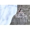 Fujifilm Objektyvas Fujinon XF150-600mmF5.6-8 R LM OIS WR
