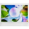 Fujifilm Momentinis fotoaparatas instax WIDE EVO Juodas, INSTAX WIDE EVO Juodas EX D