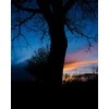 Sisteminis fotoaparatas FUJIFILM X-T50/XC15-45mmF3.5-5.6 OIS PZ Sidabrinis (Sidabrinis)
