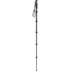 Gitzo monopod GM2562T Traveler