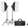 Godox studijinė blykstė MS300V F dviguba