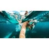 „GoPro Adventure“ rinkinys 3.0