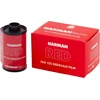 Harman Photo Harman plėvelė Raudonas 125/36