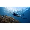 Insta360 X5 kameros rinkinys pradedantiesiems