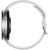 Xiaomi Watch 2, sidabrinis