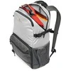 Lowepro backpack Truckee BP 250 LX, pilkas