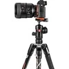 Manfrotto trikojo rinkinys Befree Advanced Alpha MKBFRLA-BH