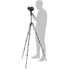 Manfrotto BEFREE Live Twist Carbon