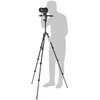 Manfrotto trikojis MKBFRLA-3W Befree 3-Way Live Advanced Sony Alpha