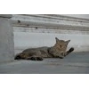 Objektyvas Fujifilm Fujinon XF 18-135mm f/3.5-5.6 R LM OIS WR